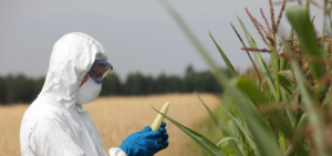agro ogm
