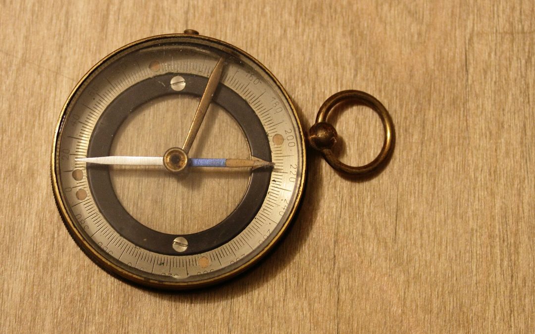 Face aux nouvelles menaces, comment (re)penser la paix et la sécurité sous un angle de vue écologiste ?